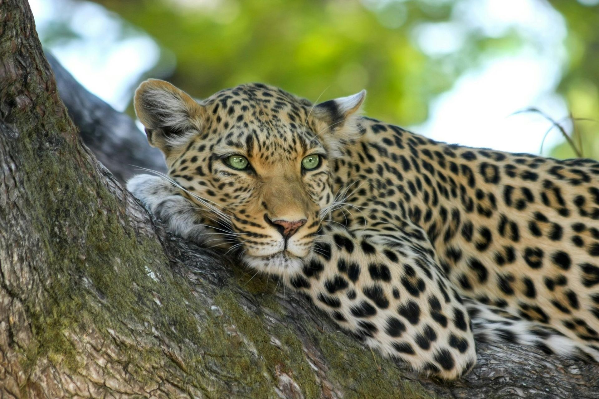 Tours and safaris from Watamu